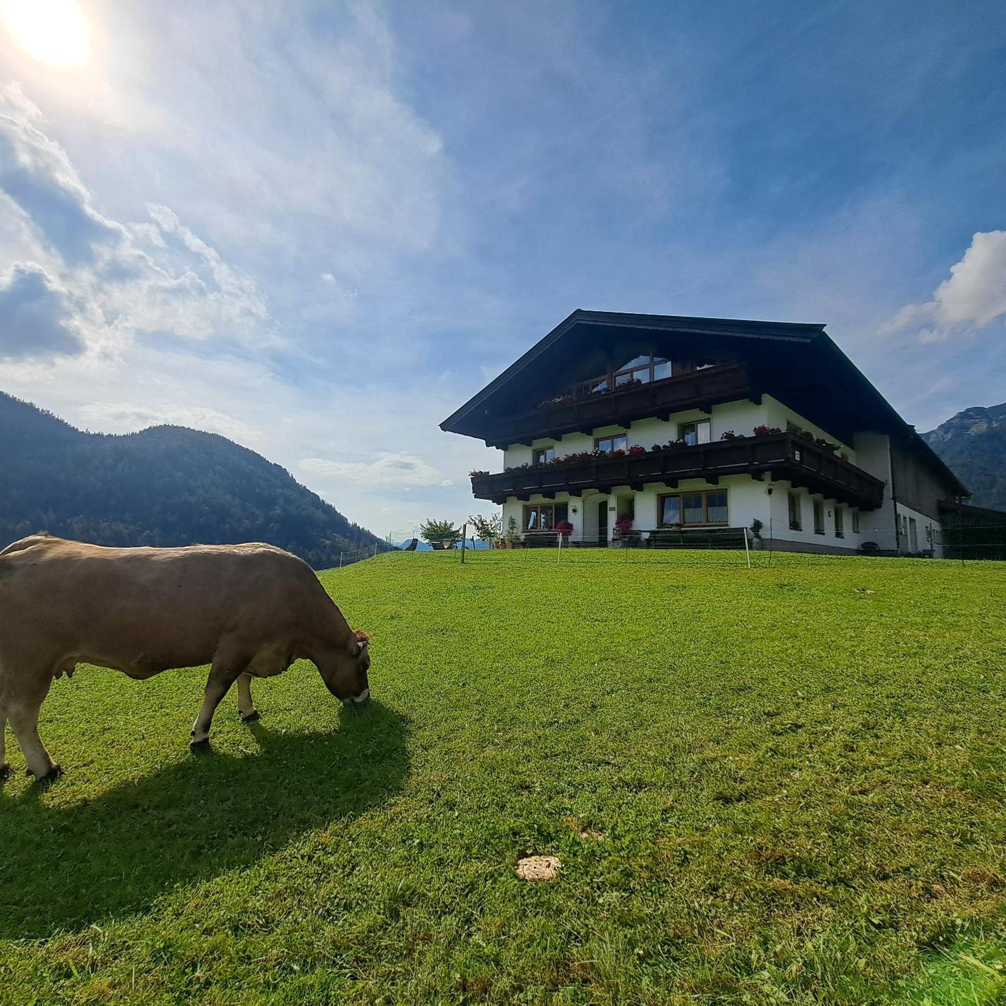 Bommerhof Waidring Luaran gambar