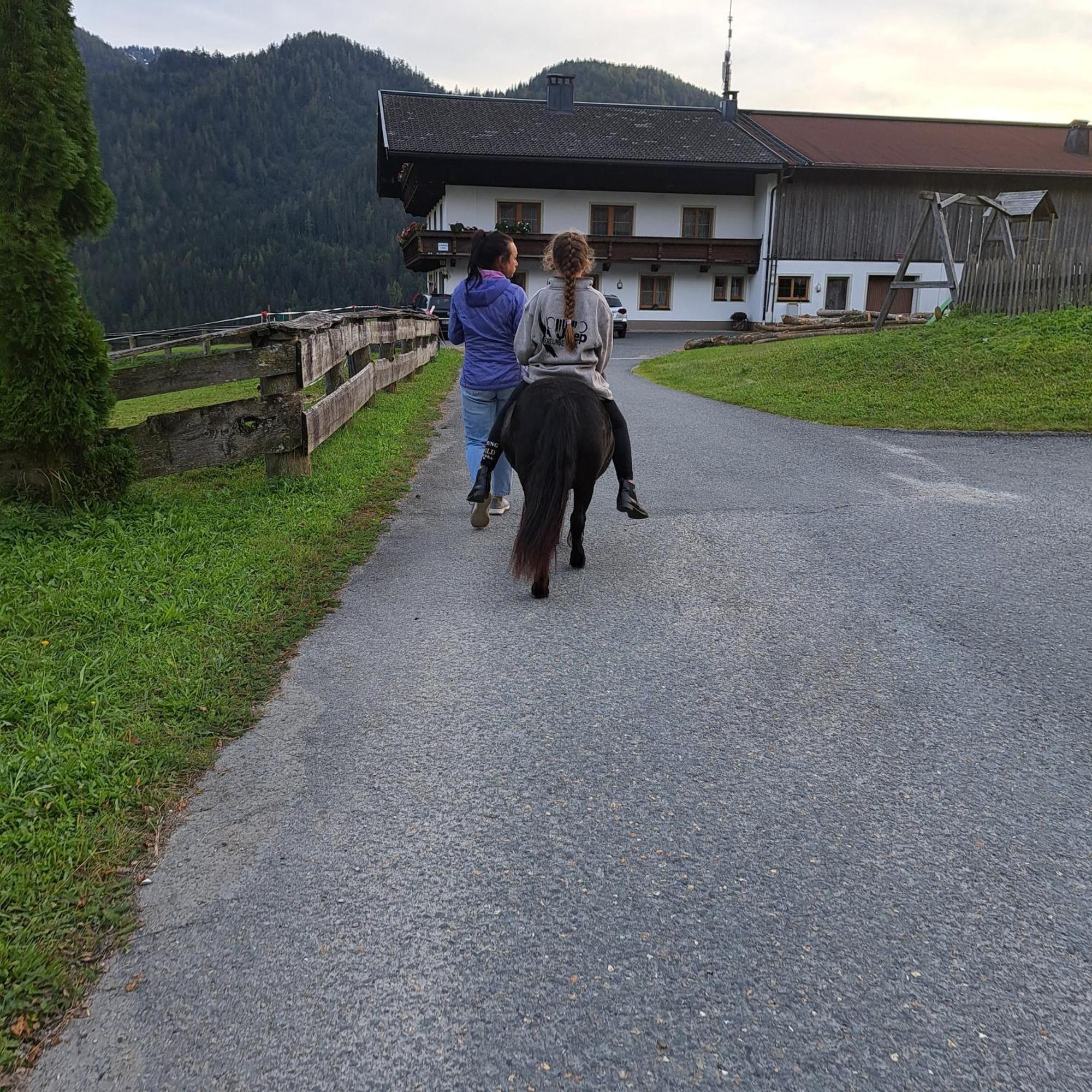Bommerhof Waidring Luaran gambar