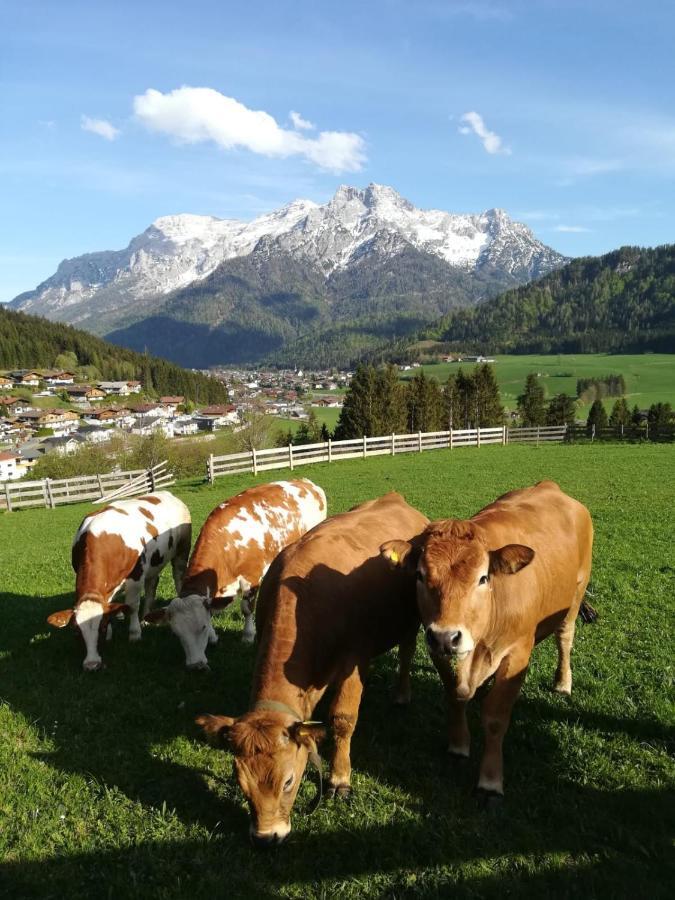 Bommerhof Waidring Luaran gambar